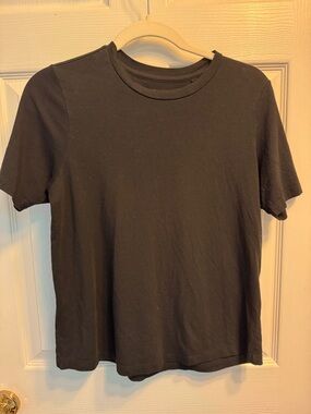 Universal Standard T-Rex